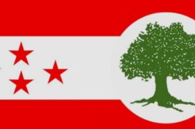 पेट्रोलियम पदार्थको मूल्य घटाउन कांग्रेसको माग