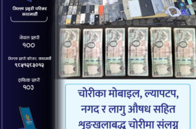 शृङ्खलाबद्ध चोरीमा संलग्न २ जना चोरीका मोबाइल, ल्यापटप, नगद र लागु औषध सहित पक्राउ