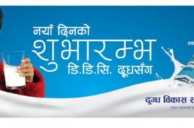दुग्ध विकास संस्थान (डीडीसी) का कर्मचारीहरूले सित्तैमा उपभोग गर्दै आएको दूध र घिउको सुविधा कटौती