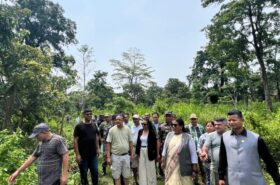 चारकोसेझाडीमा मन्त्री चौधरीले गरिन वृक्षरोपण 