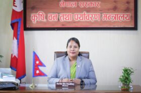 न्यूनतम समर्थन मूल्य निर्धारणमा कृषि मन्त्री चौधरीको प्रगतिः गहुँ, चैते धान र वर्षे धानको मूल्य तय, निर्देशिका पनि जारी