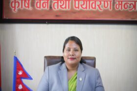 बेपत्ता कर्मचारीमाथि कारबाही एक्सन सुरु, नार्कबाट सुरुवात