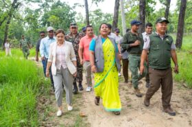 देवनगरमा ५० हेक्टरको ‘टाइगर सेन्चुरी’ बनाएर समस्याग्रस्त बाघ व्यवस्थापन गर्ने सरकारको तयारी