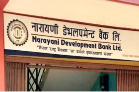 नारायणी डेभलपमेन्ट बैंकको १९ लाख कित्ता सेयर नेप्सेमा सूचीकृत