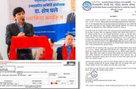 पोर्चुगलमा टुङ्गियो एनआरएनए विवाद, सुजन लामा नेतृत्वको समितिलाई सरकारी मान्यता