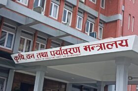सरकारका १०० दिनः ८९ हजार मेट्रिकटन रासायनिक मल बिक्री