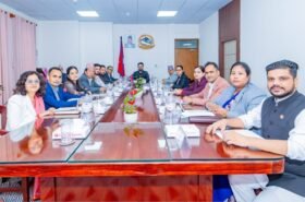 संरक्षित क्षेत्रभित्र थप रुख वा पोल हटाउन मन्त्रालयबाटै सिधै स्वीकृति दिने व्यवस्था