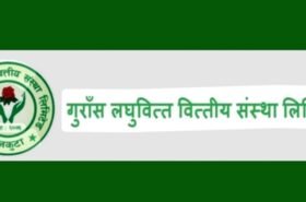 गुराँस लघुवित्तले कात्तिक १० गते बोलायो साधारण सभा १० प्रतिशत लाभांश पारित हुने