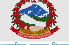करदाता प्रोत्साहन उपहार कार्यक्रमः १५ दिनमा योग्य कारोबार संख्या करिब ११ लाख नजिक,बिल अपलोड गर्न अनुरोध