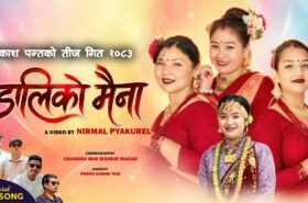 गीतकार प्रकाश पन्तको नयाँ तीज गीत ‘डालीको मैना’ सार्वजनिक