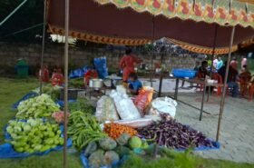 भोटेकोशी बाढीपीडितका लागि १६ हजार ६ सय किलो तरकारी राहत