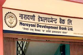 नारायणी डेभलपमेन्ट बैंकको ६५ हजार बढी कित्ता संस्थापक सेयर बिक्रीमा