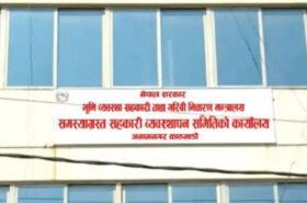 ५ समस्याग्रस्त सहकारीका १३५ साना बचतकर्ताको रकम फिर्ता