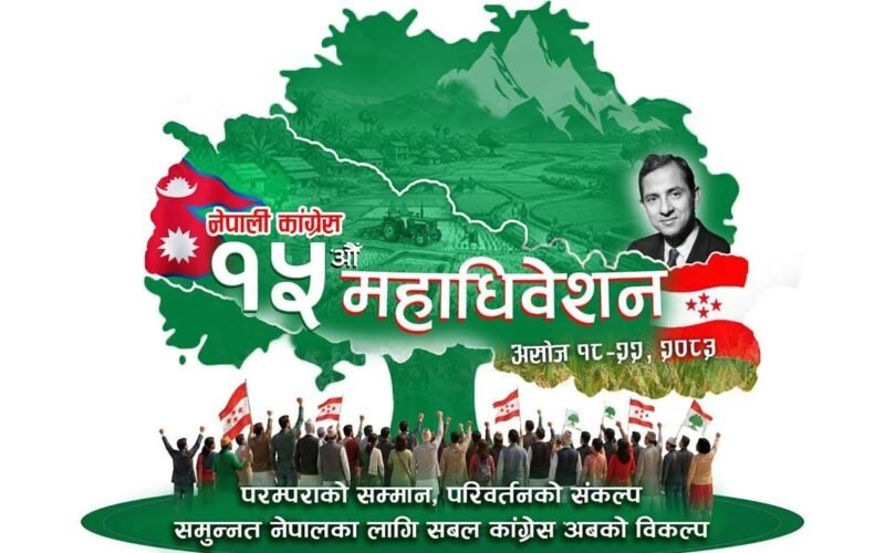कांग्रेस महाधिवेशनमा सवारी साधन पार्किङ आठ स्थानमा