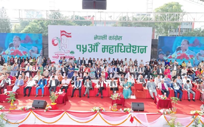 कांग्रेस हल्लाले होइन, त्याग र संघर्षले स्थापित भएको हो : राई