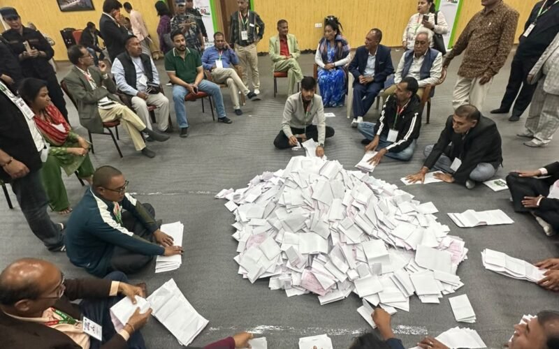 कांग्रेस महाधिवेशनः उपसभापति र महामन्त्रीको मतगणना शुरू
